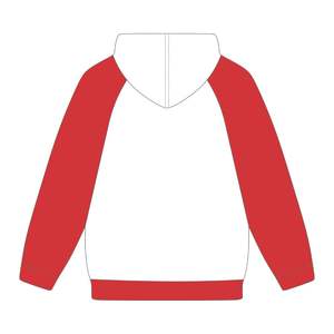 HBCU Educated <b>White</b> DST Raglan Sleeve Hoodie Chenille Embroidery Greek Sorority Delta Divine Nine Apparel Custom Hoodie - Product Image 3