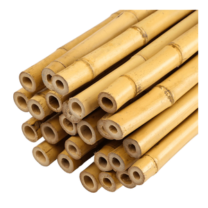 Top Cheapest Indoor and Outdoor Landscape <b>Fence</b> <b>Bamboo</b> Pole Manufactered in Viet Nam by Vigi Farm - Product Image 2