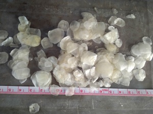 เกล็ดปลาตากแห้งแบบตากแดดวัตถุดิบเกรดพรีเมี่ยมจากเวียดนามสำหรับใช้ในอุตสาหกรรม - Product Image 2