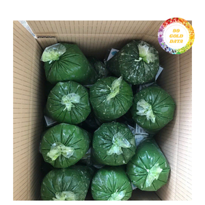 Hojas de Yuca Congeladas Orgánicas IQF - Empaque a Granel de Grado Premium para Envío Internacional - Product Image 6