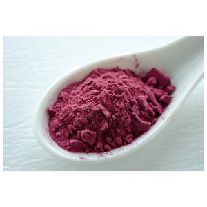 Herbojit International Poudre d'extrait biologique de racine de betterave séchée, super-aliment, épice unique, 25 KG, 100% naturel, fabriqué en Inde - Product Image 3