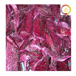 Vente en gros en vrac Vietnam Fruit du dragon séché biologique Snack sain Vegan Dessert Topping Smoothies Ingrédient Usine OEM - Product Image 4