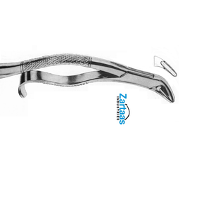 Pince d'extraction en acier inoxydable de haute qualité balançoire molaires inférieures fig 286 Fabricant et exportateur - Product Image 3