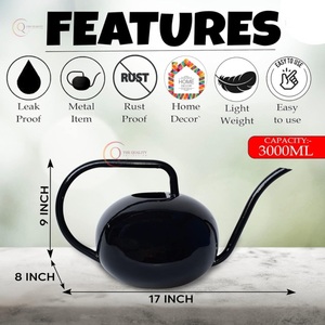 Nouvel arrivage d'arrosage décoratif en métal unique meilleure vente arrosoir à bec long accessoires d'irrigation de jardin à la maison - Product Image 3