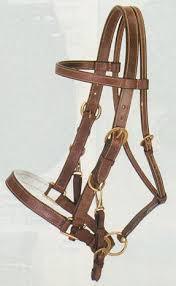 Bridas de caballo de cuero al por mayor Brida de equitación disponible en precio de fábrica - Product Image 5