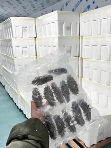 Pepino de Mar Negro Congelado al Vacío de Alta Calidad, Sin Grasas Trans, para Exportación al por Mayor desde China, con Cuatro Lados, para Reforzar el Sistema Inmunitario - Product Image 5