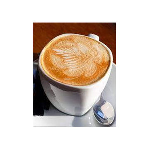 Café Instantáneo en Polvo Fenzo de Primera Calidad, Mezcla de Crema Dulce para Capuchino, Brix 8, Empaque en Caja, Fabricante Indio - Product Image 1