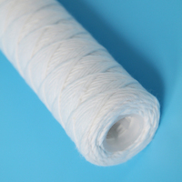 Élément filtrant de fil de pp de blessure de ficelle pour la filtration liquide et le traitement des eaux usées et la nourriture et la boisson