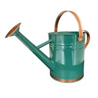 Bidon d'eau/pot en étain galvanisé naturel pour la décoration de jardin à la maison Arroseur intelligent Fournitures pour la maison et le jardin Arrosoir en métal