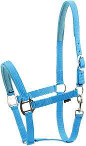 Shemax 2023 Top Qualité Vente Chaude Équitation Équestre Personnalisé En Gros Turquoise Cheval Nylon Halter - Product Image 2