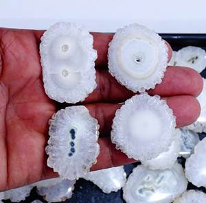 Cabochon de pierres précieuses en vrac de Quartz solaire naturel de haute qualité taille libre pour la décoration intérieure et la fabrication de bijoux effet de guérison - Product Image 4