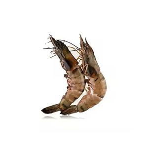 Camarones tigre enteros de calidad de exportación ofrecidos a precio directo de fábrica para compradores - Product Image 3