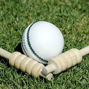 Balle dure de cricket fabriquée en usine Vêtements de sport de haute qualité Balle dure de cricket en pièces fraîches - Product Image 4