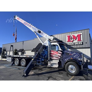 Grue de camion MANITEX 2025 26101C - Product Image 2