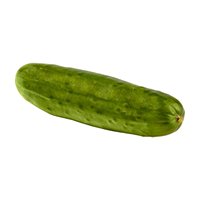 Vente chaude Concombres frais Qualité originale Pure Salade Légumes en vrac Fournitures Concombres frais de qualité supérieure