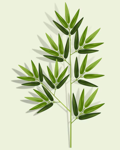 Follas de Bambú Secas Ecológicas para Decoración Tropical y Uso en Restaurantes - Product Image 1