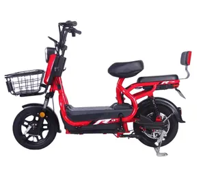 Batería de litio para bicicleta eléctrica de dos asientos, superalimentada, 48v, 1000w, neumático ancho, 2 asientos