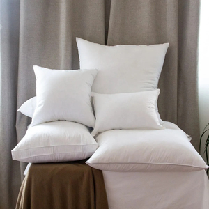 Coussins décoratifs et d'appoint de luxe en velours plume, personnalisables, couleur unie, lavables, multi-tailles pour canapé d'hôtel - Product Image 5