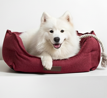 มณฑลเบอร์กันดี