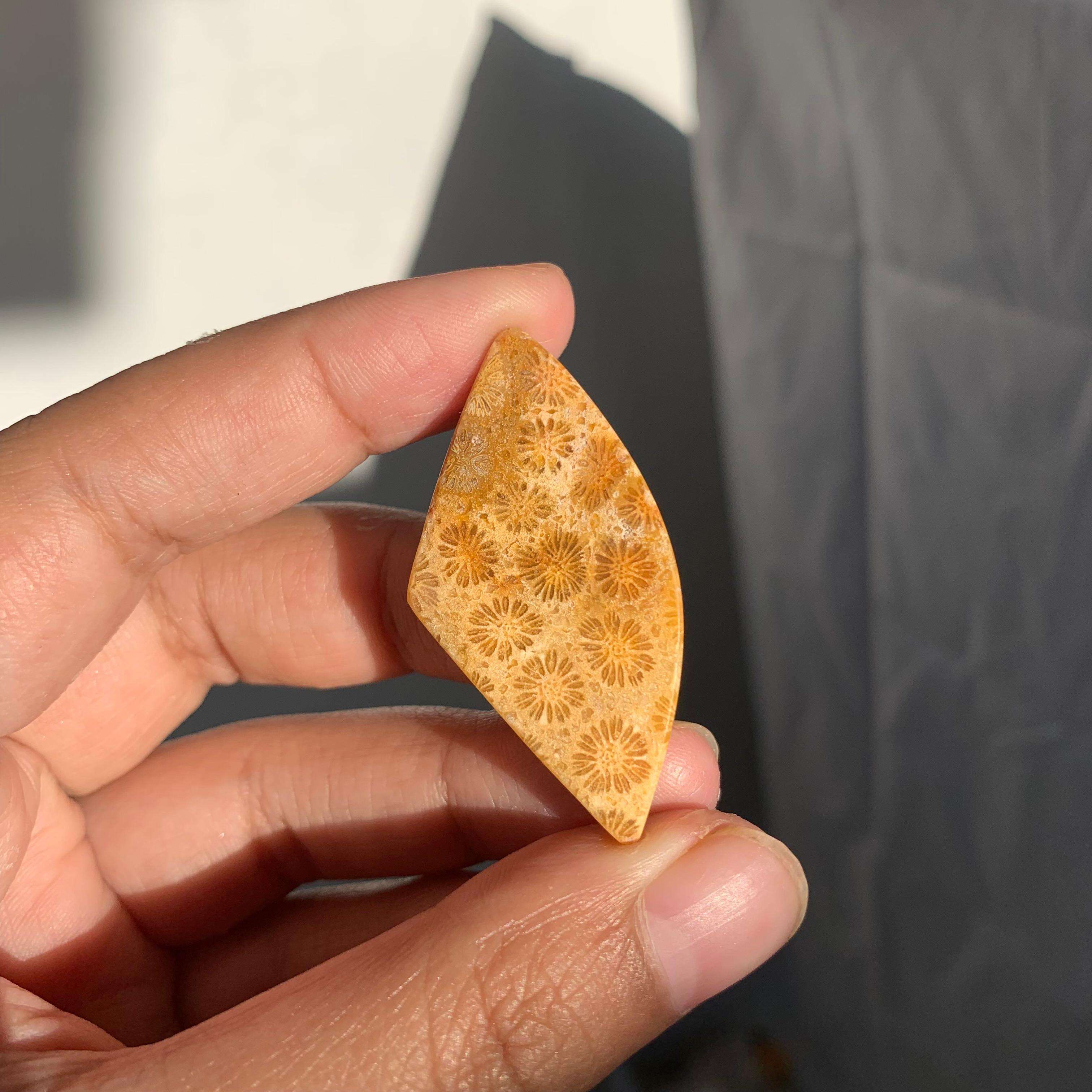 สีน้ำตาล