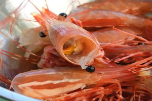 Poudre de coquille de crevettes séchées du delta du Vietnam |   Direct d'usine - Product Image 2