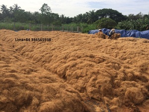 Meilleur Prix COCO FIBER 100% Natural Brown-EXPORTATEURS VIETNAMSES DE HAUTE QUALITÉ EN GROS - Product Image 3