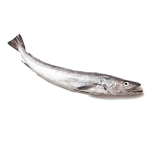 Morue congelée HGT / Fournisseur de fruits de mer congelés entiers - Product Image 1