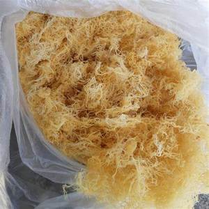 MUSGO DEL MAR SE VENDE BIEN CON PRECIO BARATO A GRANEL HECHO EN VIETNAM - Product Image 3