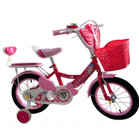 Prix de détail bébé enfants filles princes vélos 12 16 20 pouces pour enfants d'enfants 7 12 14 ans filles avec lumières de musique