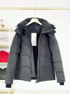 Manteaux d'hiver courts personnalisés en duvet Veste d'hiver matelassée en forme de canard clair pour hommes - Product Image 6