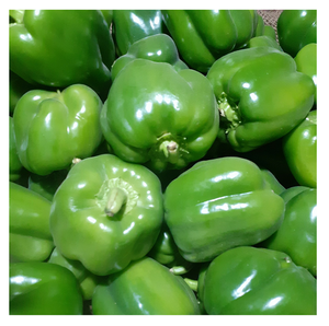 Poivron frais de qualité supérieure, qualité alimentaire, fournisseur en gros, prix d'usine - Product Image 6