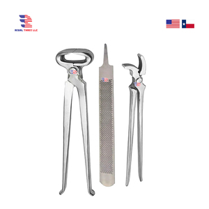 ชุดเครื่องมือสำหรับดูแลกีบม้า 3 ชิ้น สำหรับสัตวแพทย์ ประกอบด้วยเครื่องมือตัดแต่งกีบม้า คีมตัดกีบม้า ตะไบ และเครื่องมือสำหรับการดูแลกีบม้า - Product Image 1