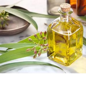 Huile essentielle d'eucalyptus 100% Exportateur en vrac de qualité thérapeutique naturelle d'Inde - Product Image 1