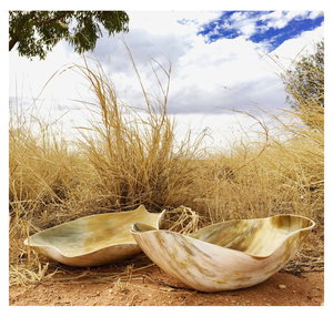 Tazón de cuerno natural para servir al mejor precio para el color del cuerno de vaca y embalaje y precio personalizados con tazón decorativo de mesa - Product Image 1