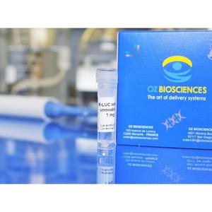 Suministros de laboratorio Oz Biosciences R-Luc Reporter Gene MRNA Producto modificado - Product Image 1