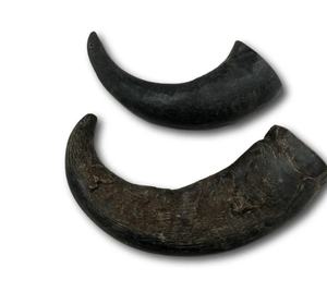 ฮอร์นแกะเคี้ยวธรรมชาติทำด้วยมือสำหรับสุนัขที่มีโปรตีนสูง - Product Image 1