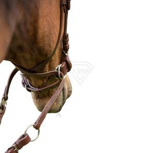 Brida de Cuero para Caballo de Alta Calidad, Logotipo y Diseño Personalizados en Diferentes Tamaños, Cabestro de Cuero, Bridas de Cuero para Caballo - Product Image 3