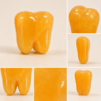 Sculpture de dent en cristal naturel, figurine de molaire en pierre précieuse polie à la main pour décoration de bureau, collection et cadeau unique