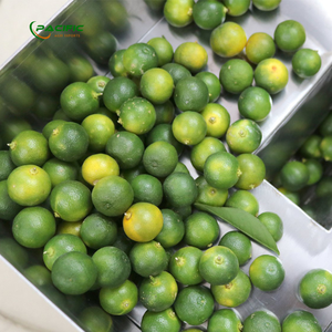 PUREE CALAMANSI CONGELÉE VIETNAMIENNE POUR BOISSONS SAUCES MÉLANGES À COCKTAIL ET FOURNISSEURS DE PRODUITS SAINS OEM - Product Image 1