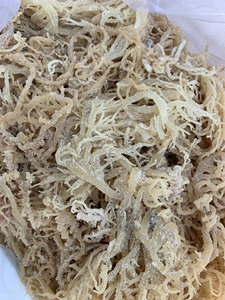 EXPORTACIÓN DE ALGAS SECAS ASADAS DESDE EXPAD VIETNAM Secado Eucheuma Cottonii Algas Marinas Oro Irlandés Musgo - Product Image 2