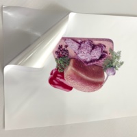 Papier autocollant en vinyle imprimable à jet d'encre blanc mat Memjet, format A4 et 8,5*11'', impression à jet d'encre, étiquette adhésive, imperméable, 100 feuilles