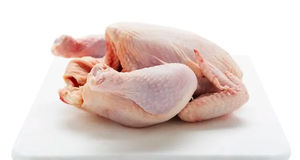 Pack en vrac de gésiers de poulet halal surgelés, viande de haute qualité, certifiée halal, qualité d'exportation, fraîche, saine, riche en protéines - Product Image 4