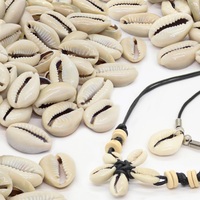 Mignon cauri coquille perles ovale coquillages plage coquillages pour bricolage Arts de la décoration de la maison fabrication de bijoux