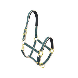 Nouvelle arrivée meilleure qualité réglable et Durable licou cheval fantaisie PP RE-PPH-0163 à bon prix - Product Image 4