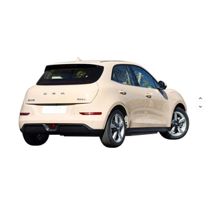 2024 Good Cat Mini EV Coches Eléctricos Deportivos 401km para Adultos en perfecto estado listos para enviar - Product Image 2