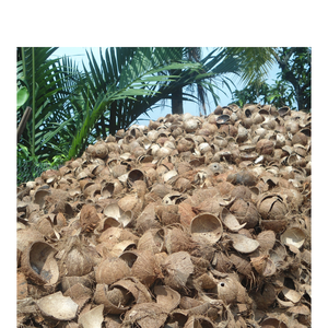 Cáscara cruda de coco de alta calidad a granel para carbón, decoración del hogar, accesorios de jardín, cuencos y varias aplicaciones de bricolaje - Product Image 2