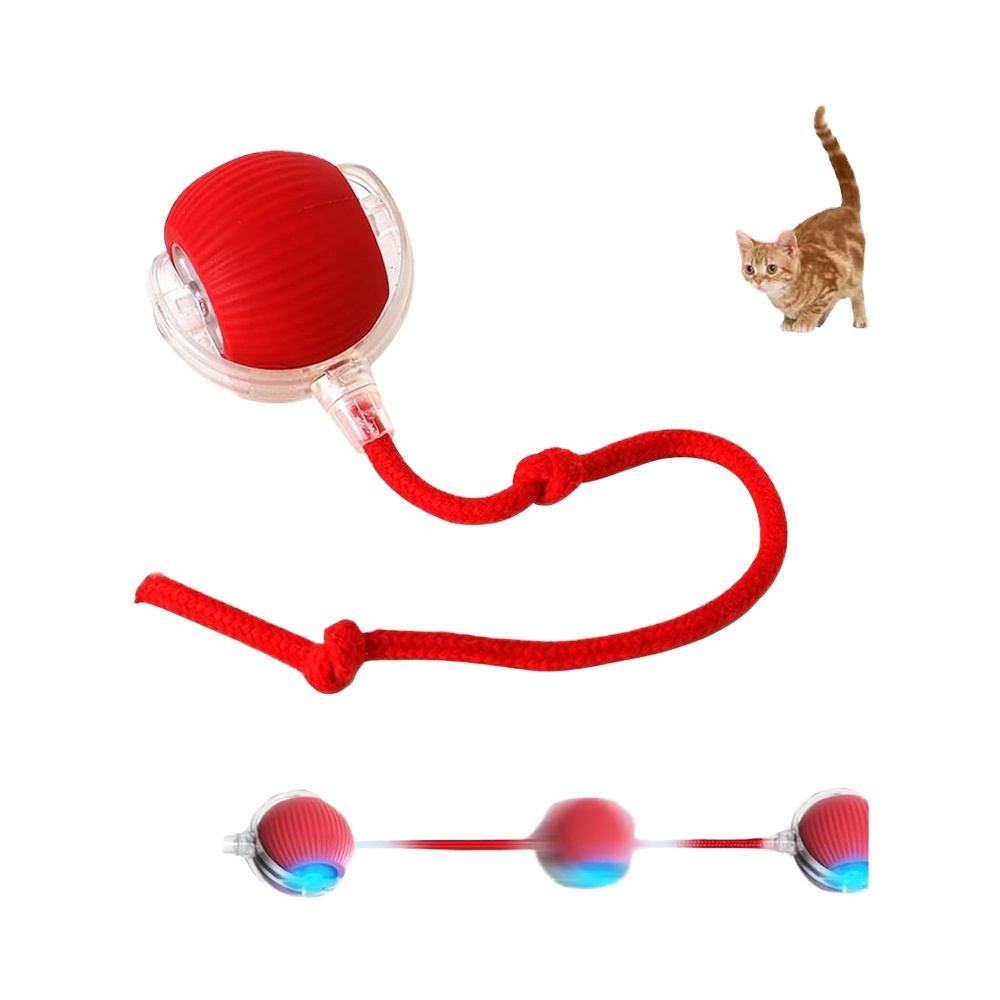 Interactive Ball Toys Fast Moving Toys for Cats Dogs