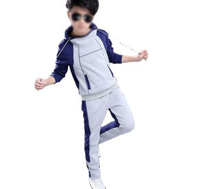 Wholesale Quality <b>Children</b> Cotton Sweatshirt Sweatpants Clothing Set Boy Jogging Track Suit Kids Zipper Sweatshirts Set - Product Image 3
