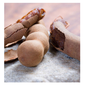 Cápsulas frescas de tamarindo orgánico, aroma fuerte y fuerte, embalaje a granel, proveedor mayorista Premium de Vietnam - Product Image 3