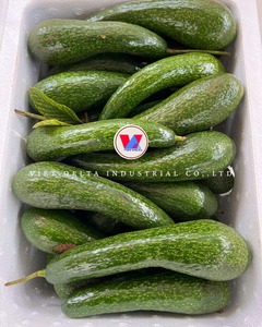 PECHOS DE AGUACATE PURO CONGELADO ETIQUETA LIMPIA APOYO INMUNE RICO EN NUTRIENTES A BASE DE PLANTAS - Product Image 1